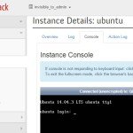 Instance Console