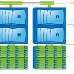 NetApp 6 Node cluster