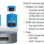 NetApp SVM FlexVol