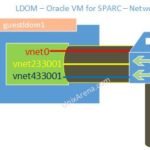 LDOM oracle VM for SPARC - Networking PVID VID